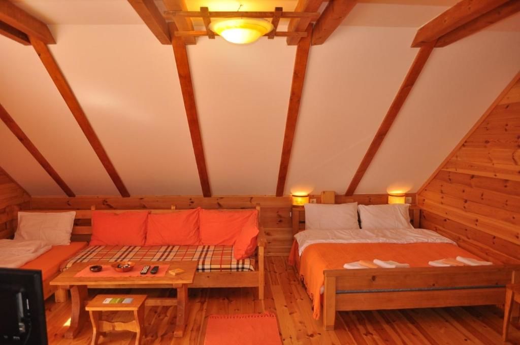 Апартаменты Dana apartmani Колашин