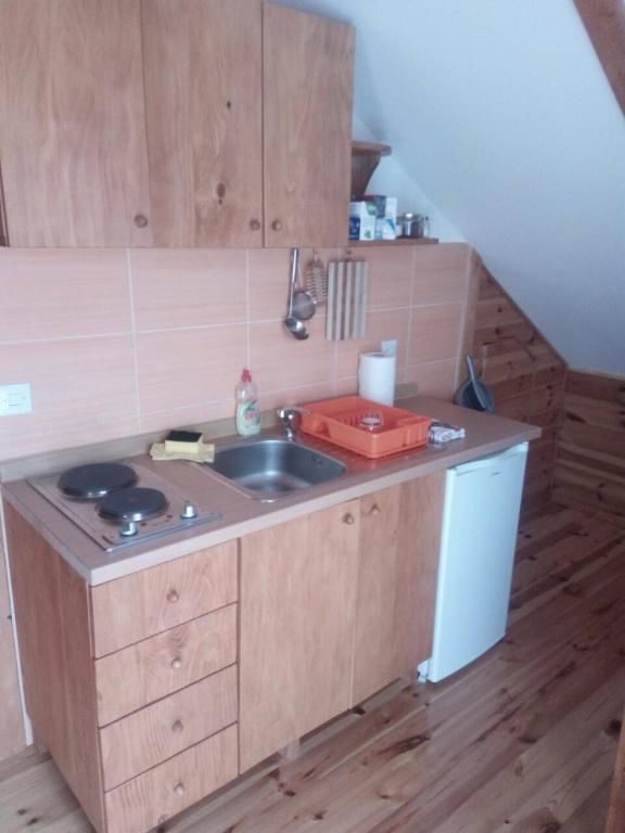 Апартаменты Dana apartmani Колашин