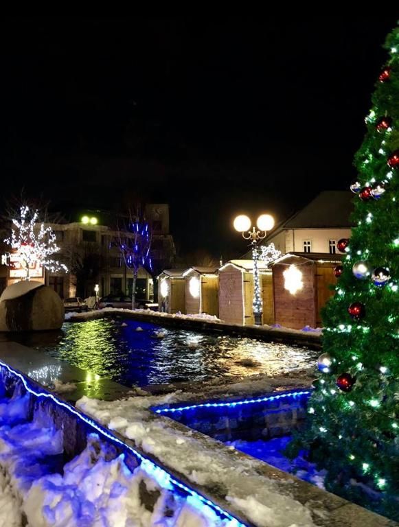 Апартаменты Dana apartmani Колашин