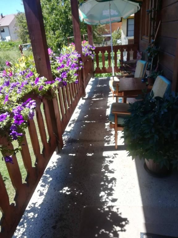 Апартаменты Dana apartmani Колашин