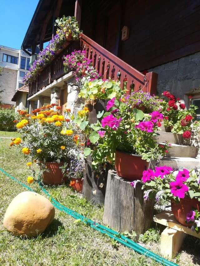 Апартаменты Dana apartmani Колашин-17