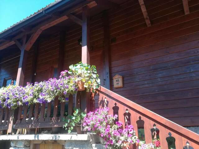 Апартаменты Dana apartmani Колашин-19