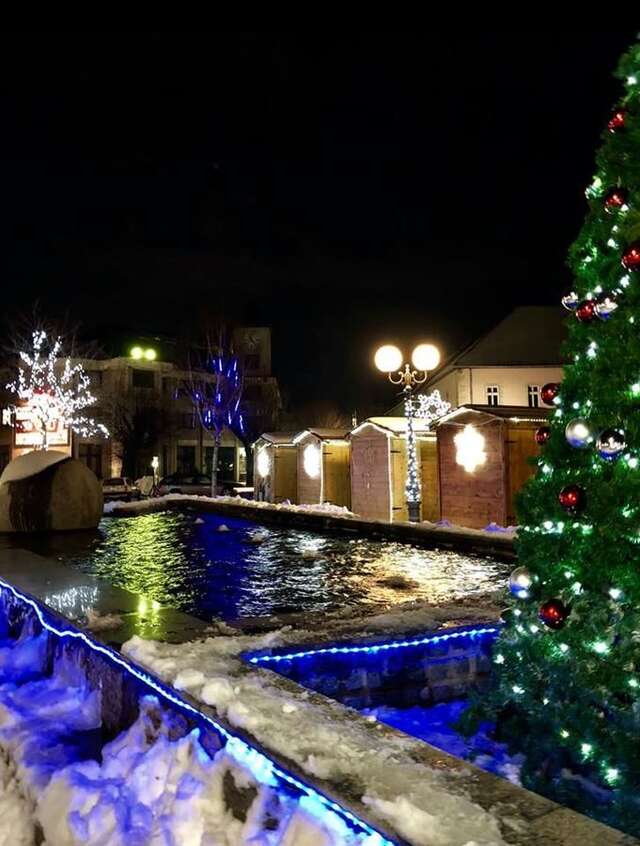 Апартаменты Dana apartmani Колашин-21