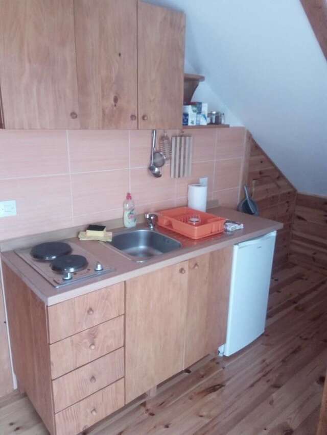 Апартаменты Dana apartmani Колашин-22