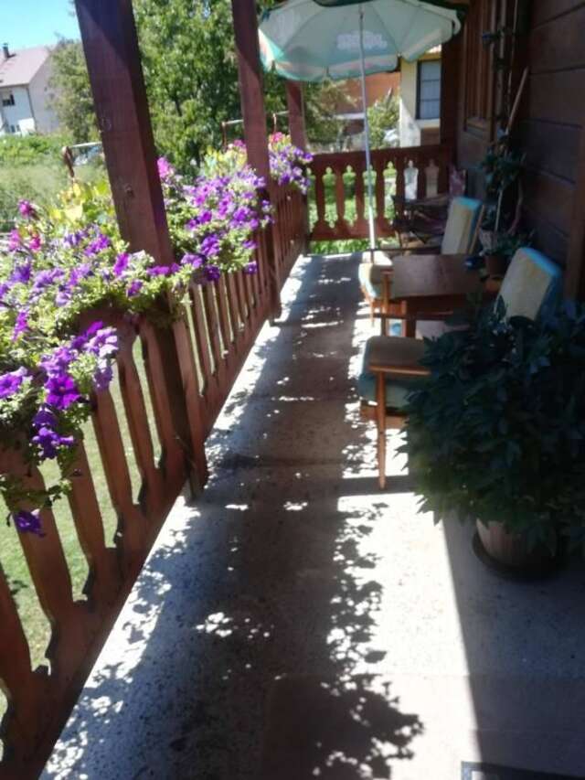 Апартаменты Dana apartmani Колашин-41